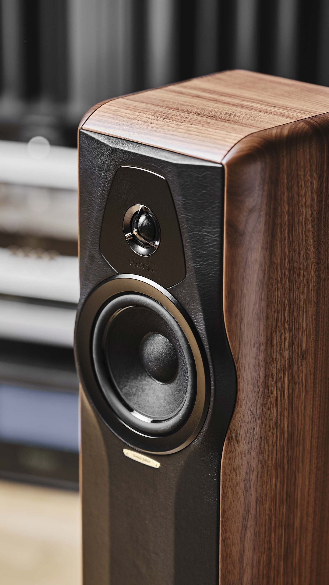 Maxima Amator Floorstanding Speaker | Sonus faber