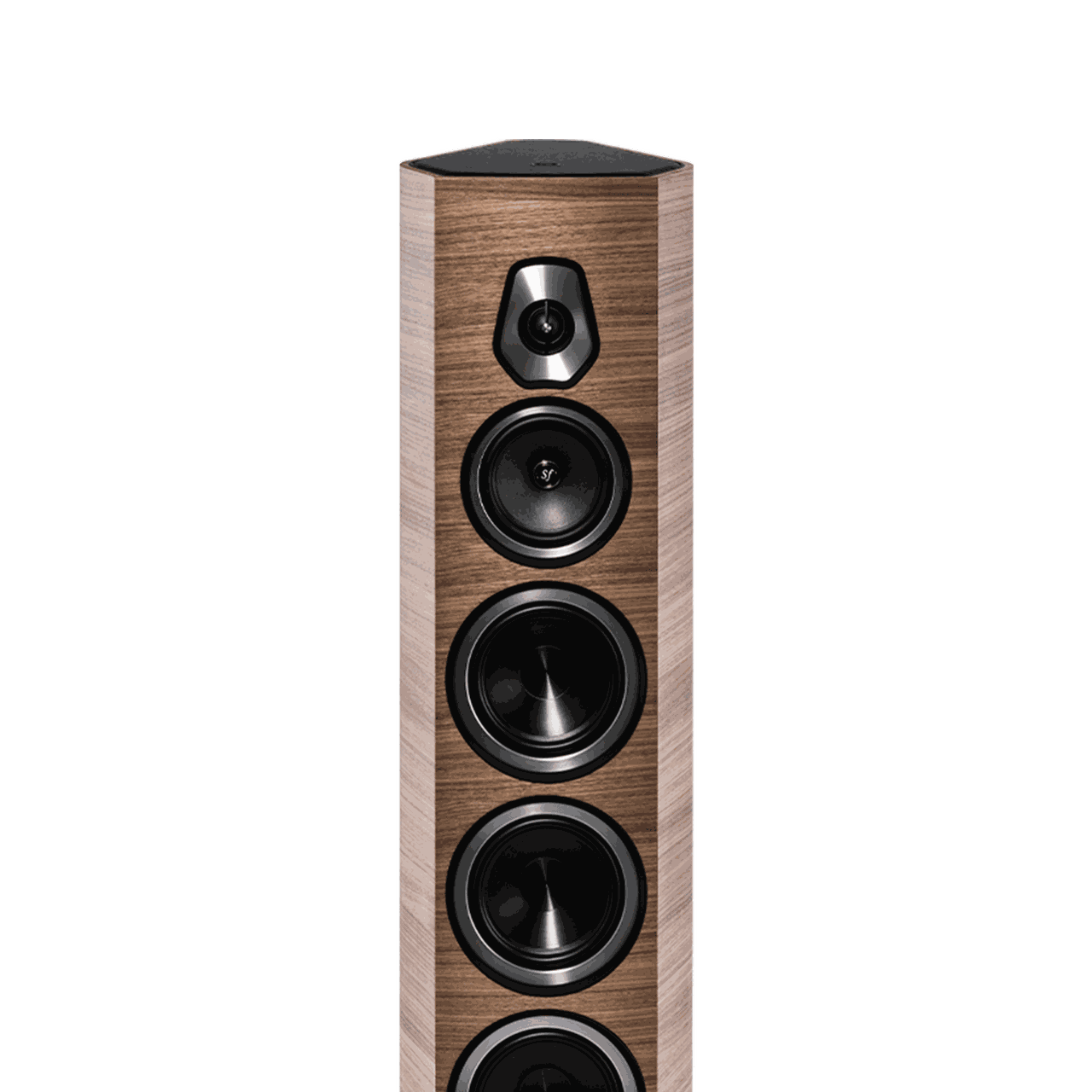 Sonetto viii sonus sales faber